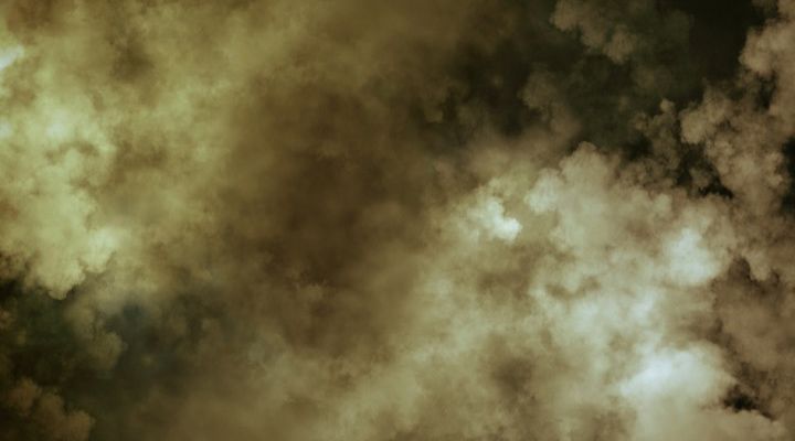 Firefighters Rescue Pigs Story